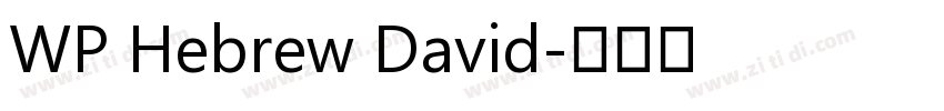 WP Hebrew David字体转换